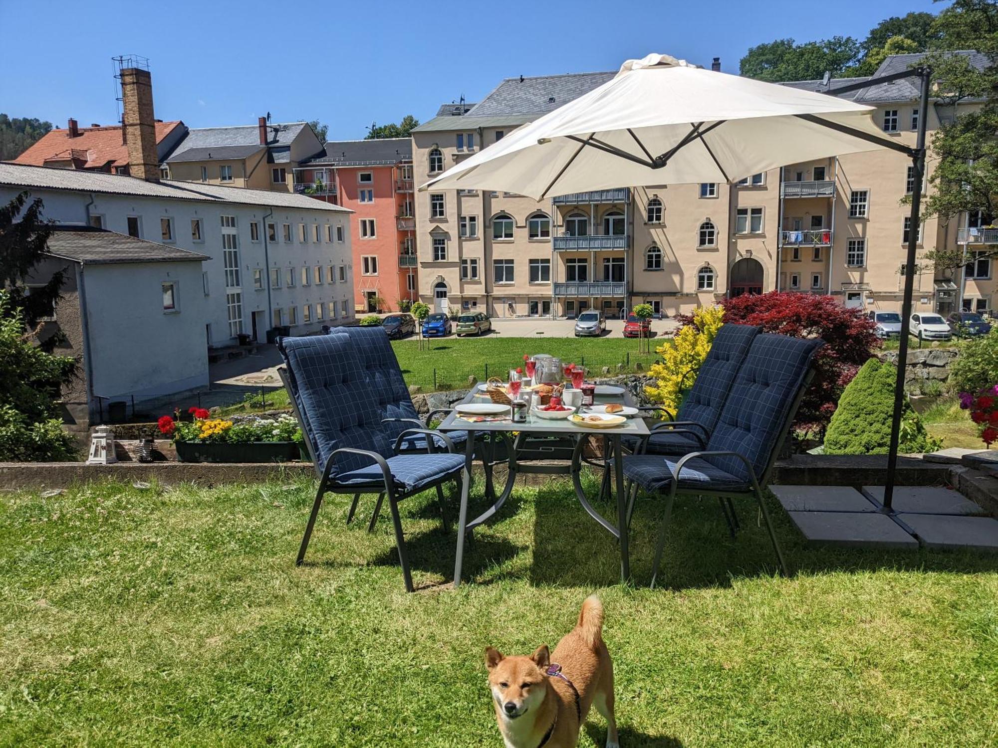 F4 - Urlaubsmagie - Grosse Wohnung Fuer Bis Zu 10 Personen 赛博尼茨 外观 照片