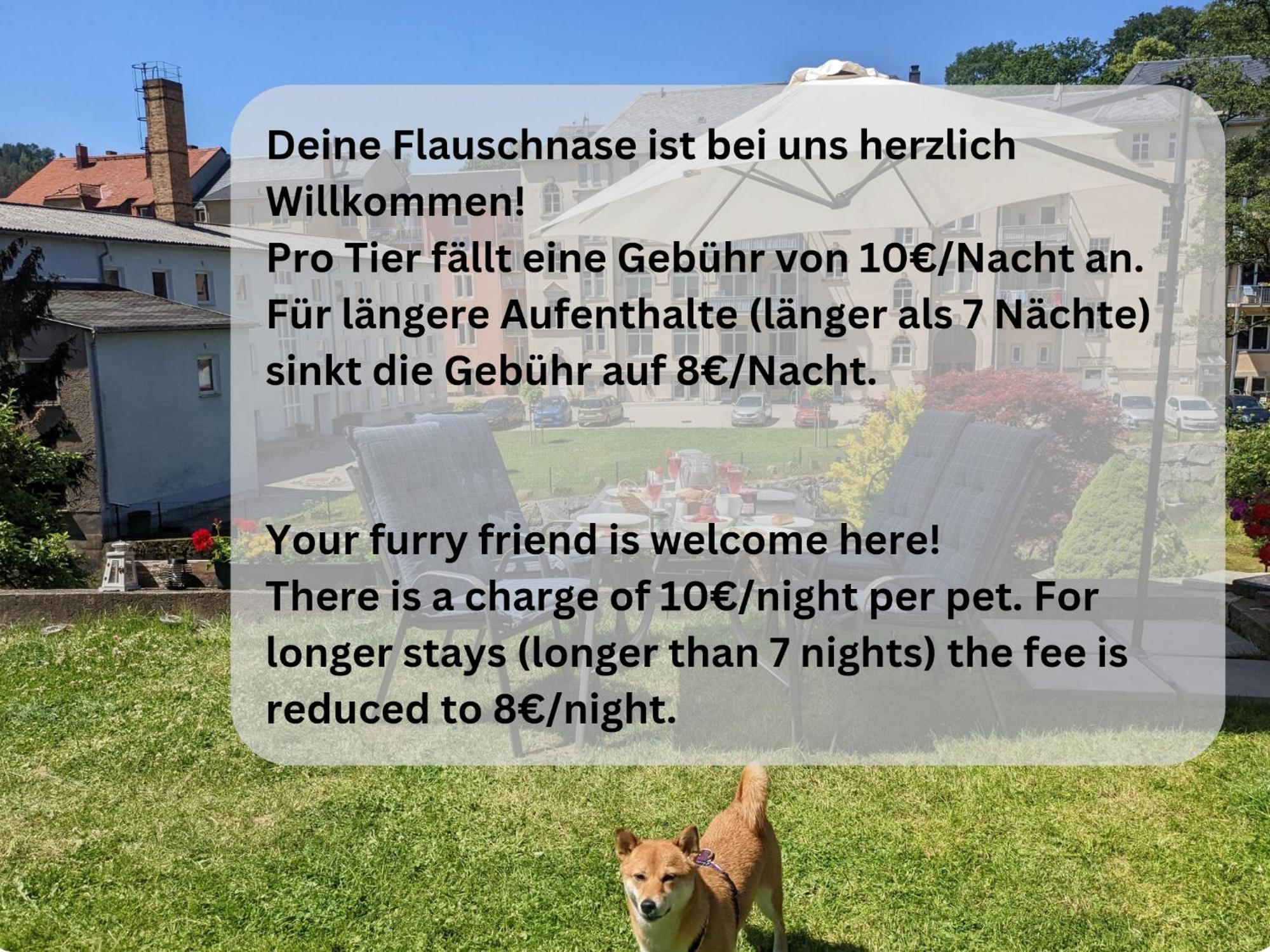 F4 - Urlaubsmagie - Grosse Wohnung Fuer Bis Zu 10 Personen 赛博尼茨 外观 照片